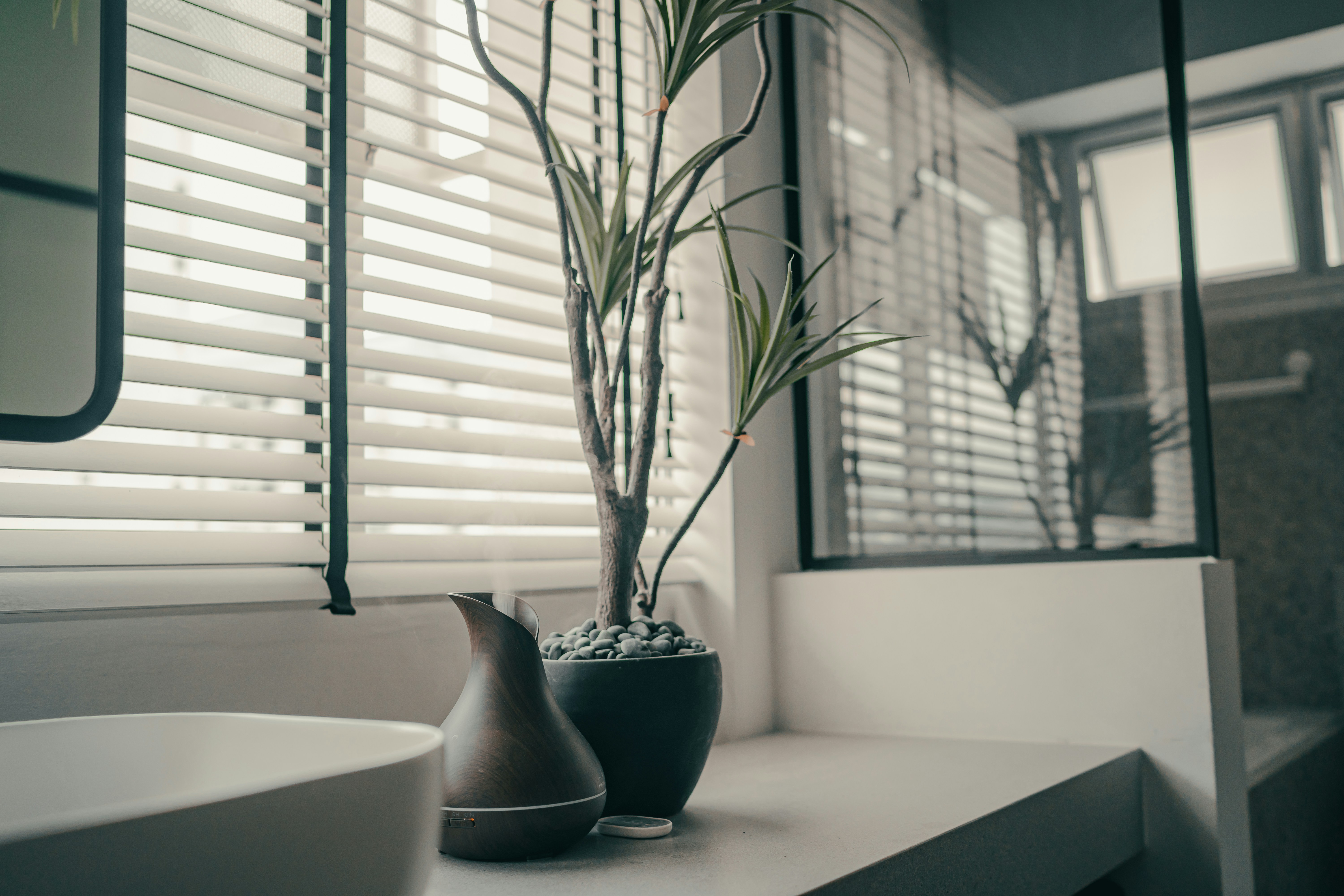 Photo by albertvincentwu