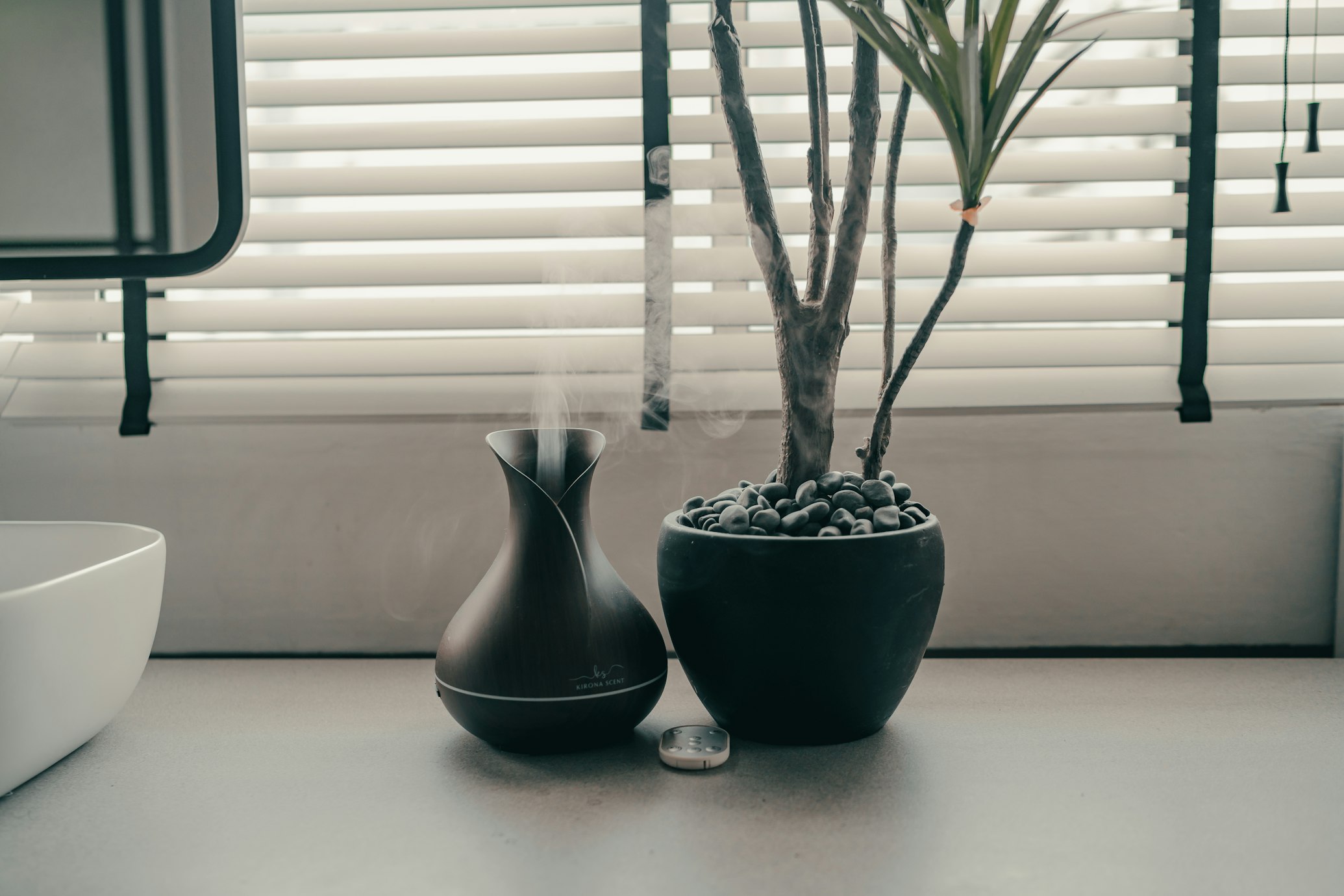 Air purifier and plants in bedroom