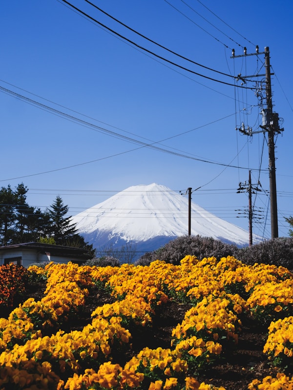 Fujikawaguchiko: Exploring Local Culture & Traditions