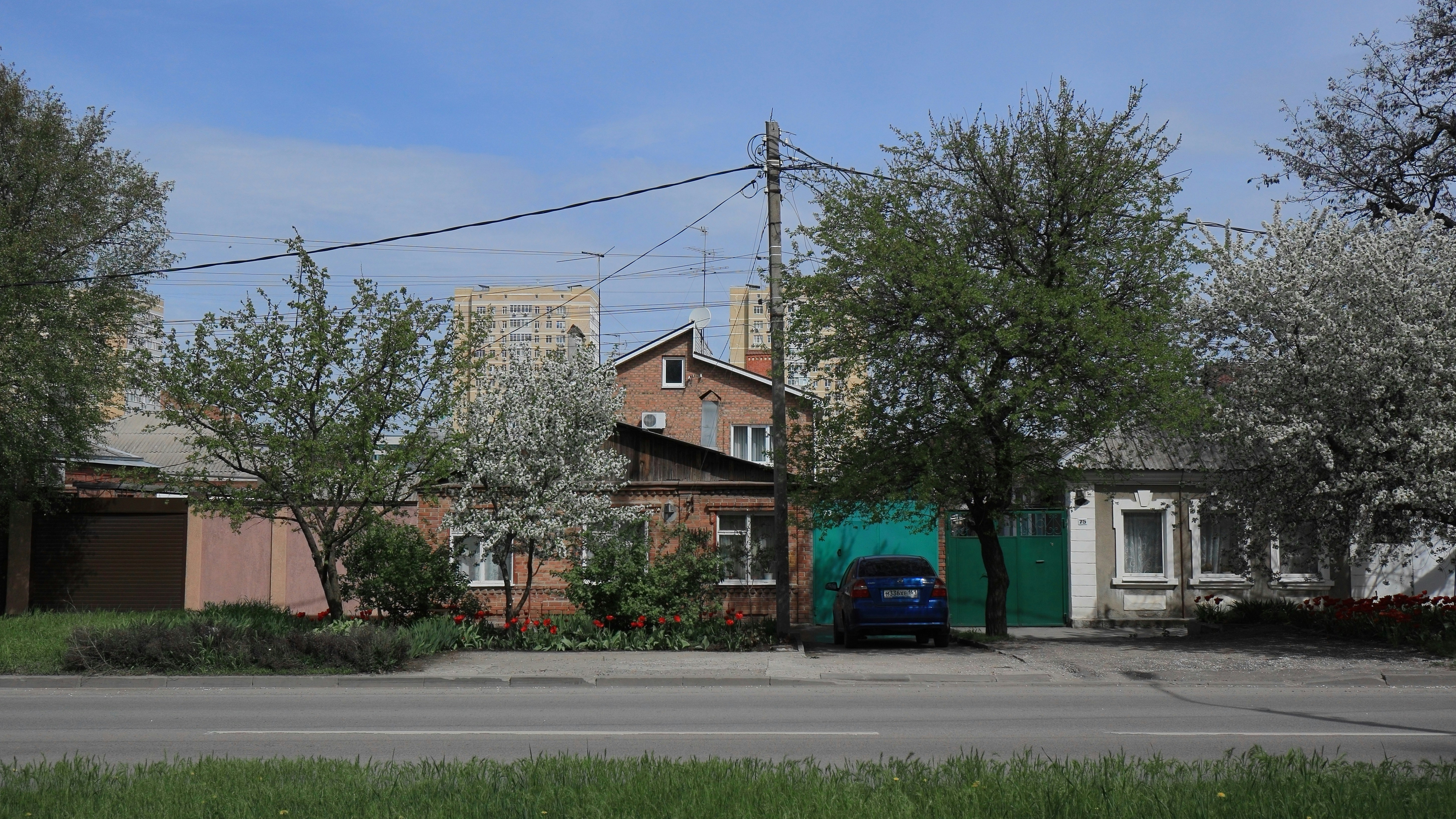 Photo by ignatkushanrev