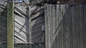 A weathered wooden fence with diagonal and vertical planks shows signs of age and exposure to the elements. The structure is supported by a rusty green metal post. Some plant branches and a brick wall are visible in the background.