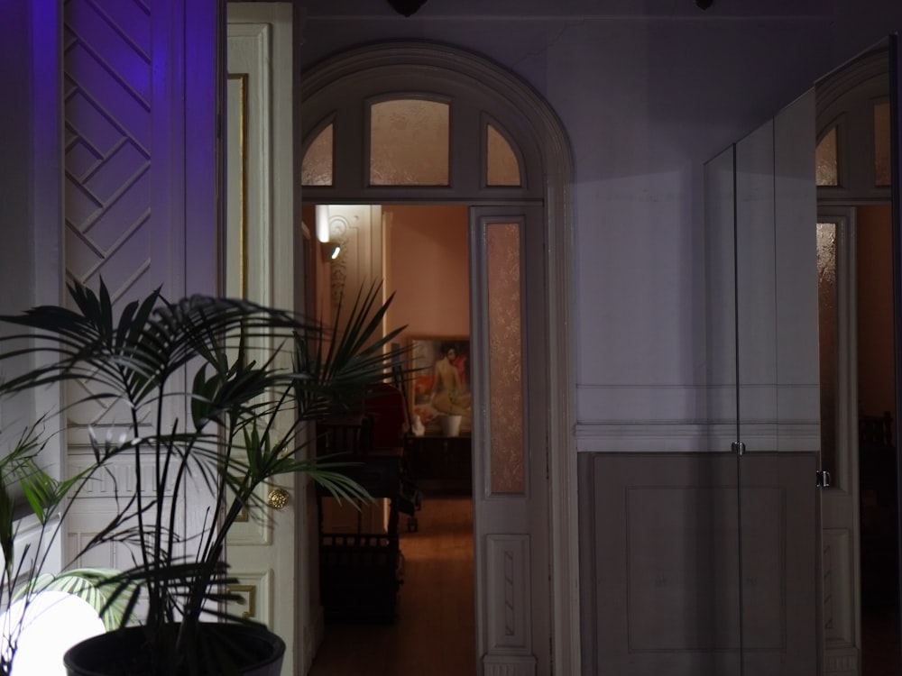 green potted plant near white wooden door