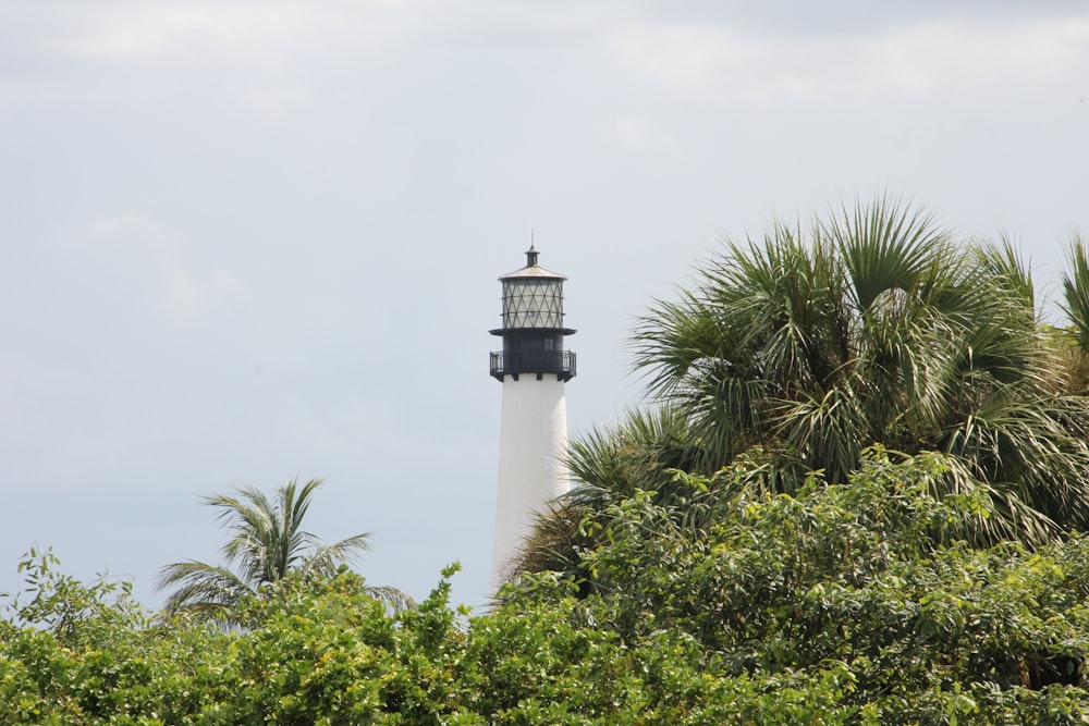 white and black lighthouse surrounded by green trees under white sky during daytime