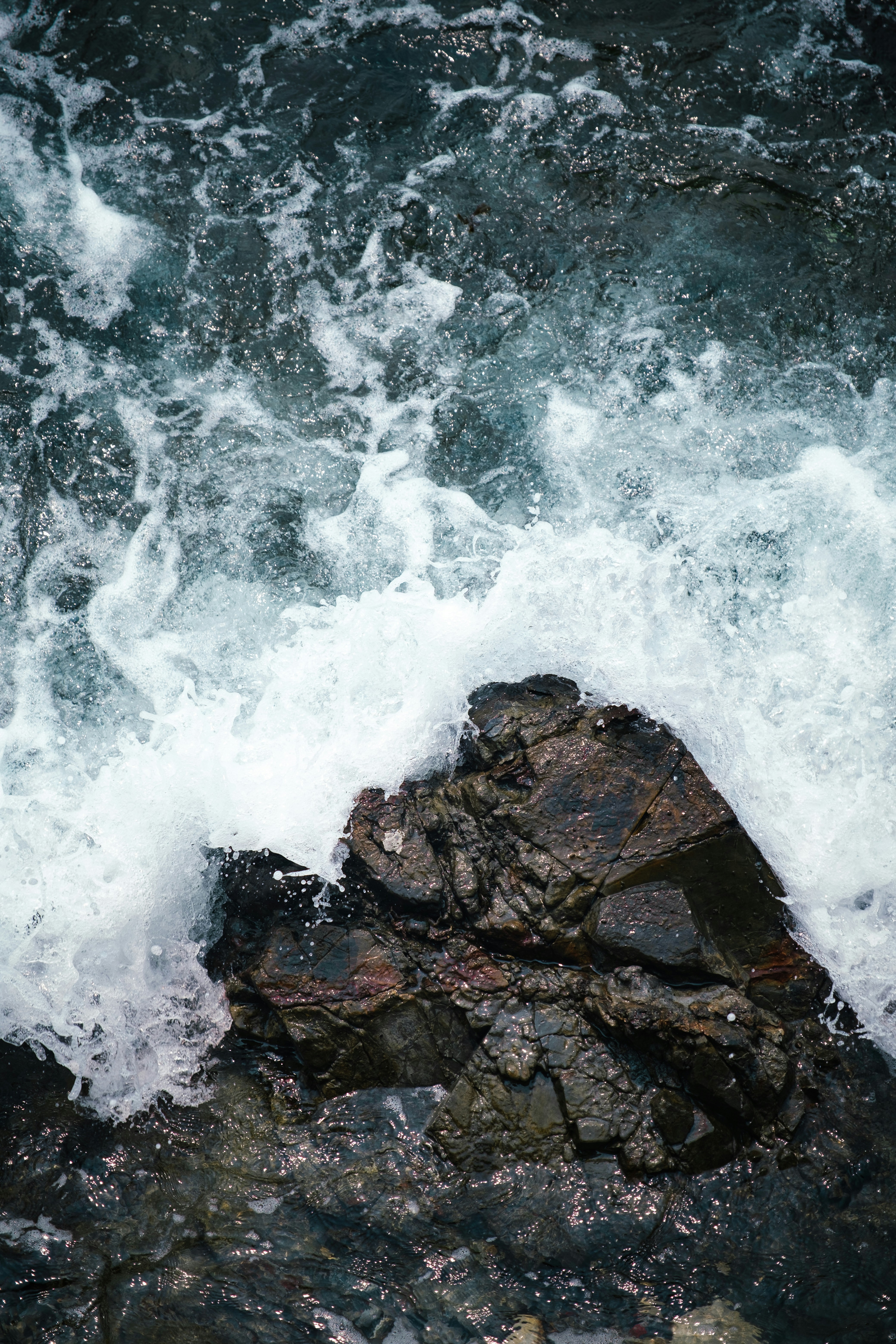 Photo by shanedesouza