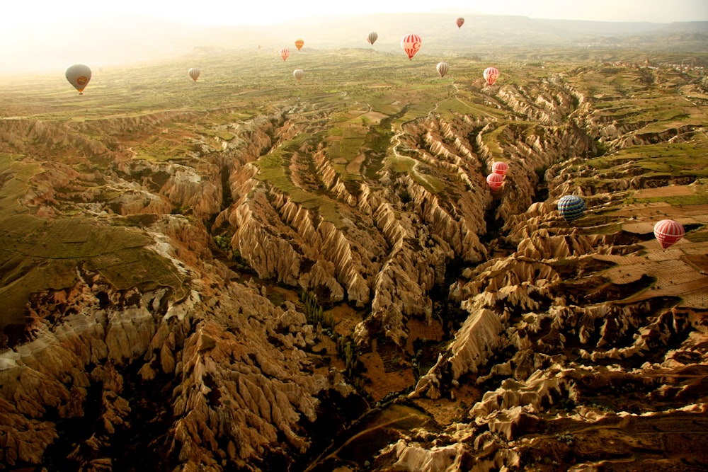 people on top of mountain during daytime