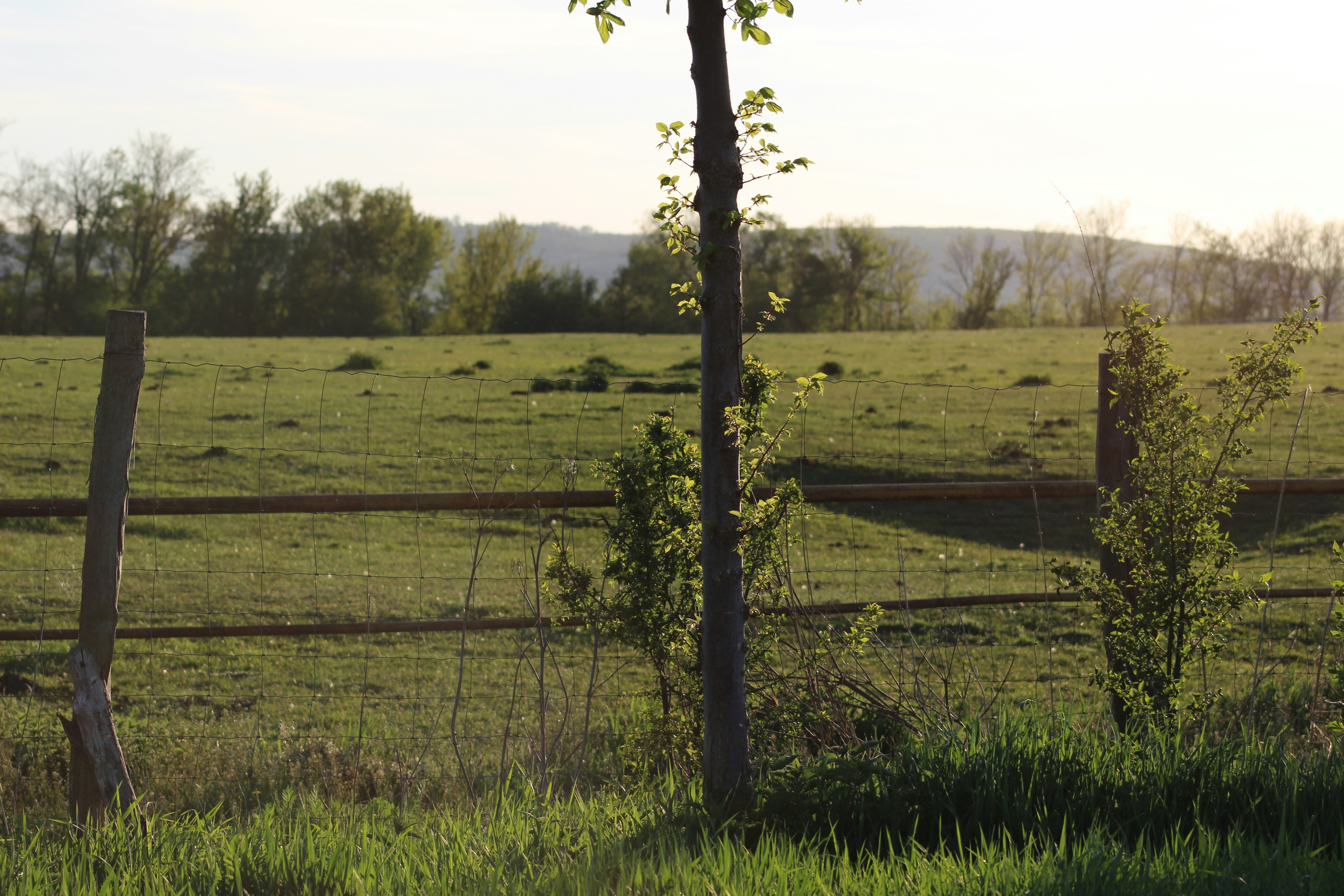 Photo by marjorylucabaxter