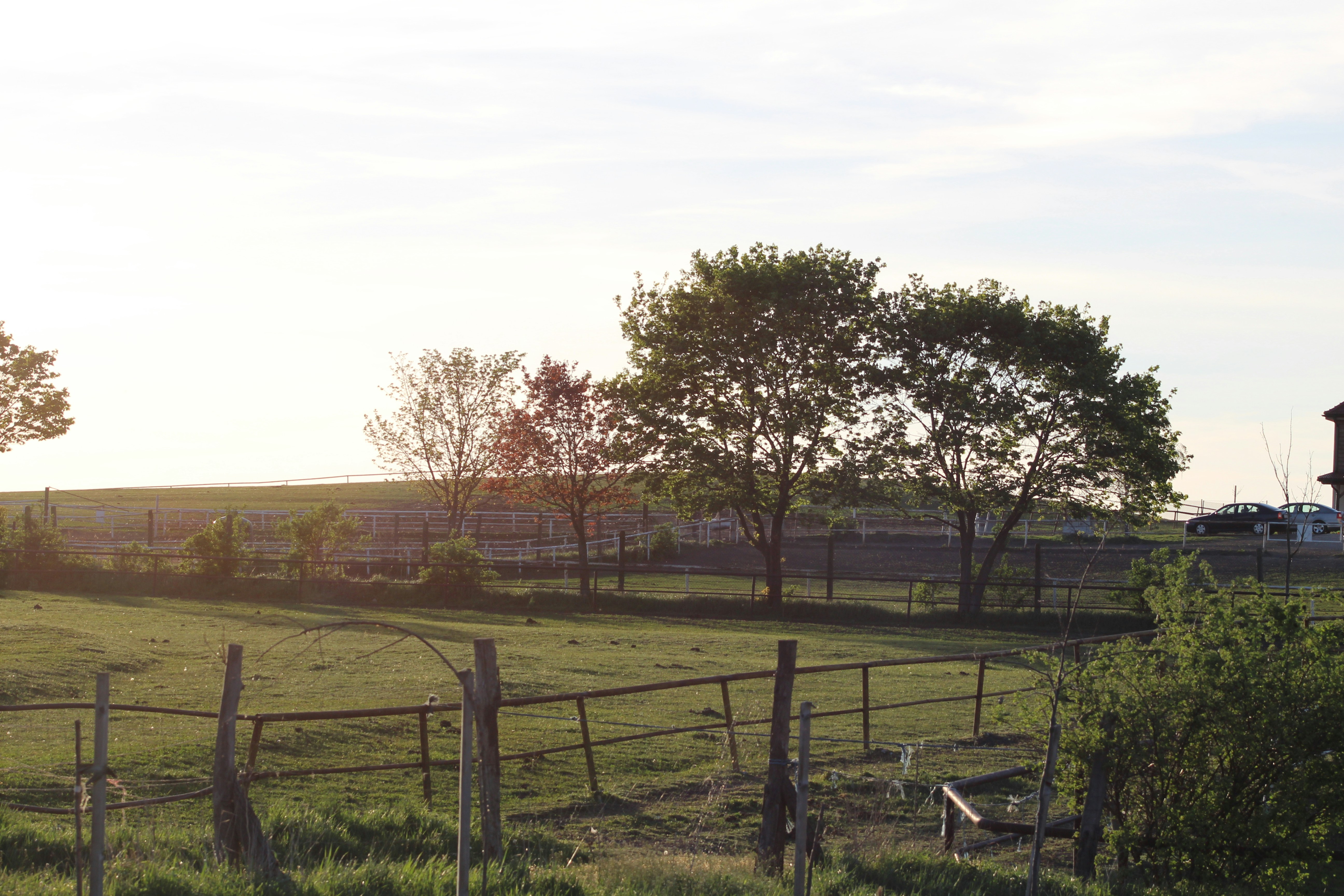 Photo by marjorylucabaxter