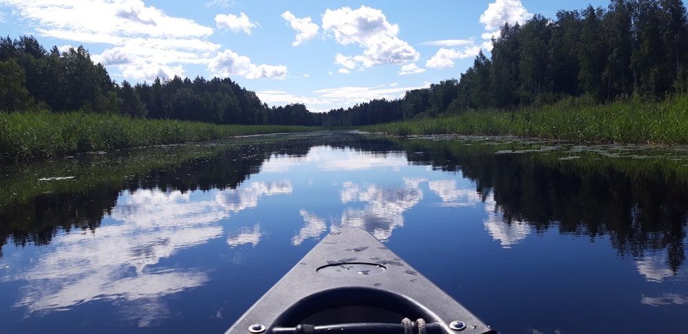 green trees beside body of water under blue sky during daytime