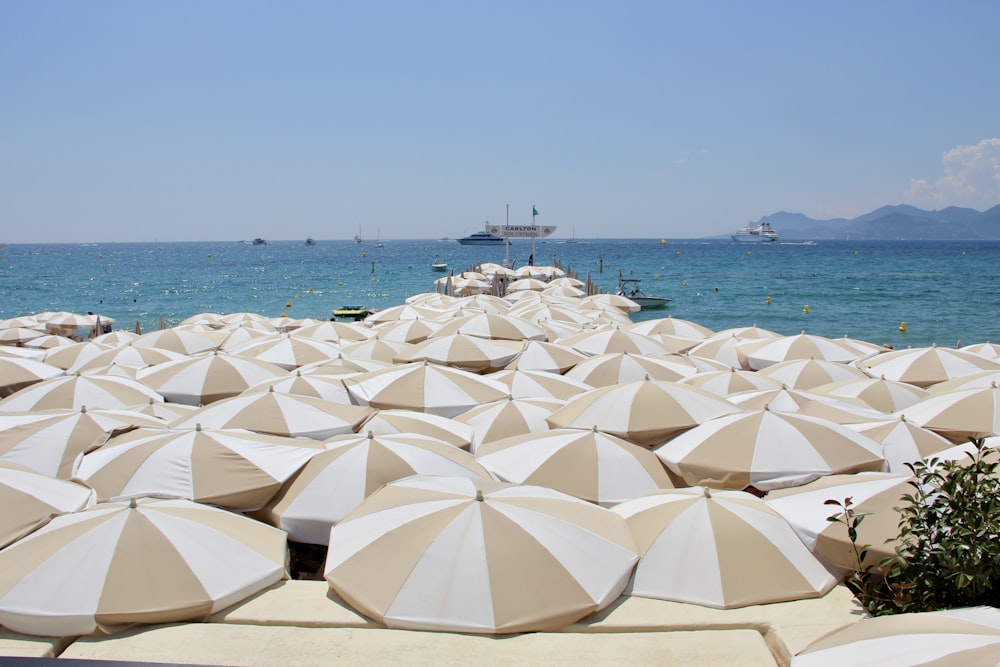 white and gray umbrellas on beach during daytime