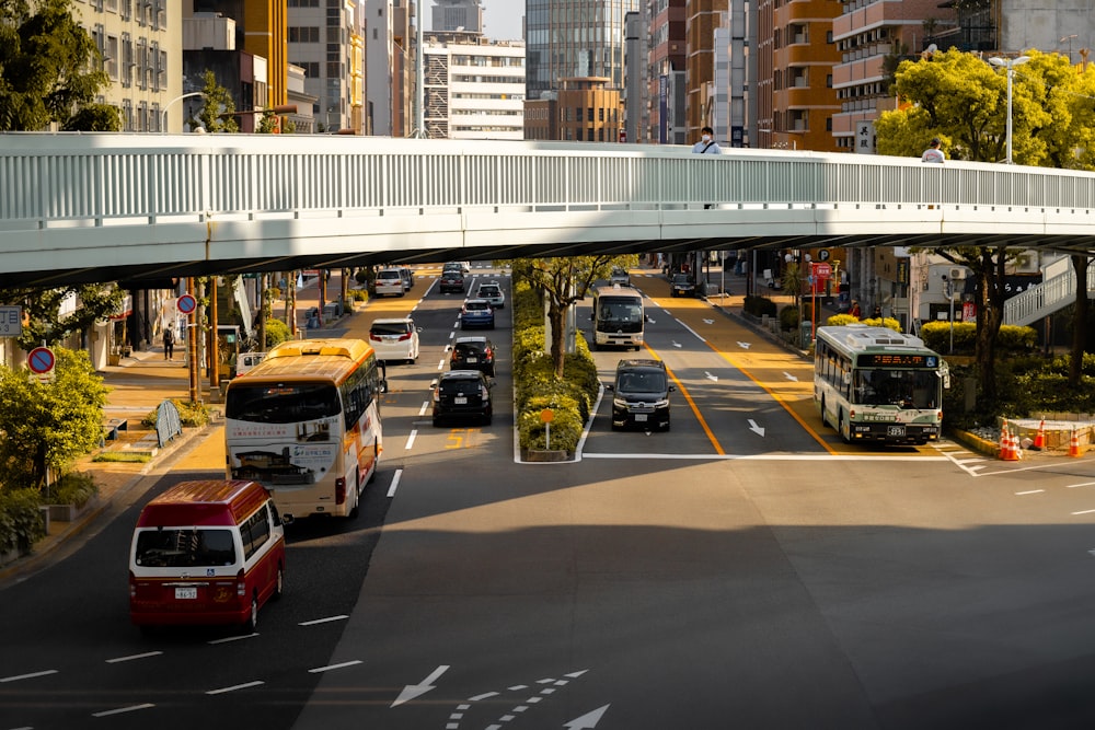 cars on road near buildings during daytime