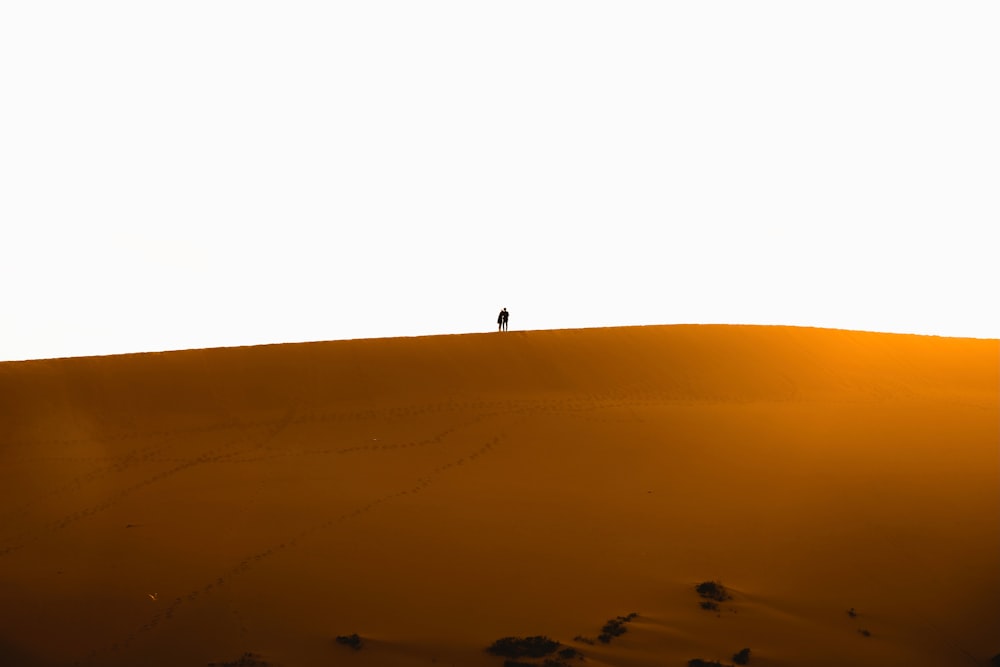 silhouette of person standing on top of hill under blue sky during daytime