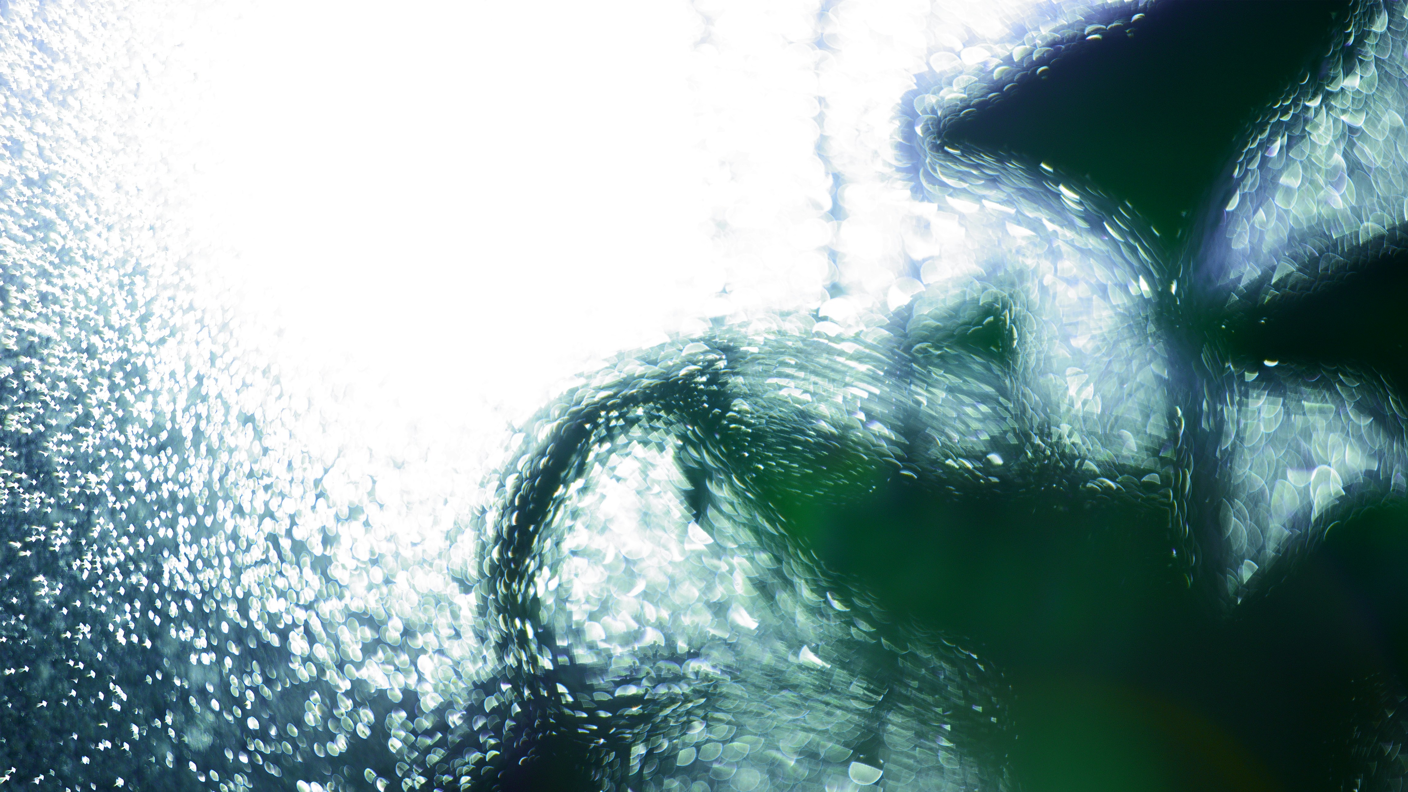 Experimental photo. Lens: Helios-44. Light, water and plants.