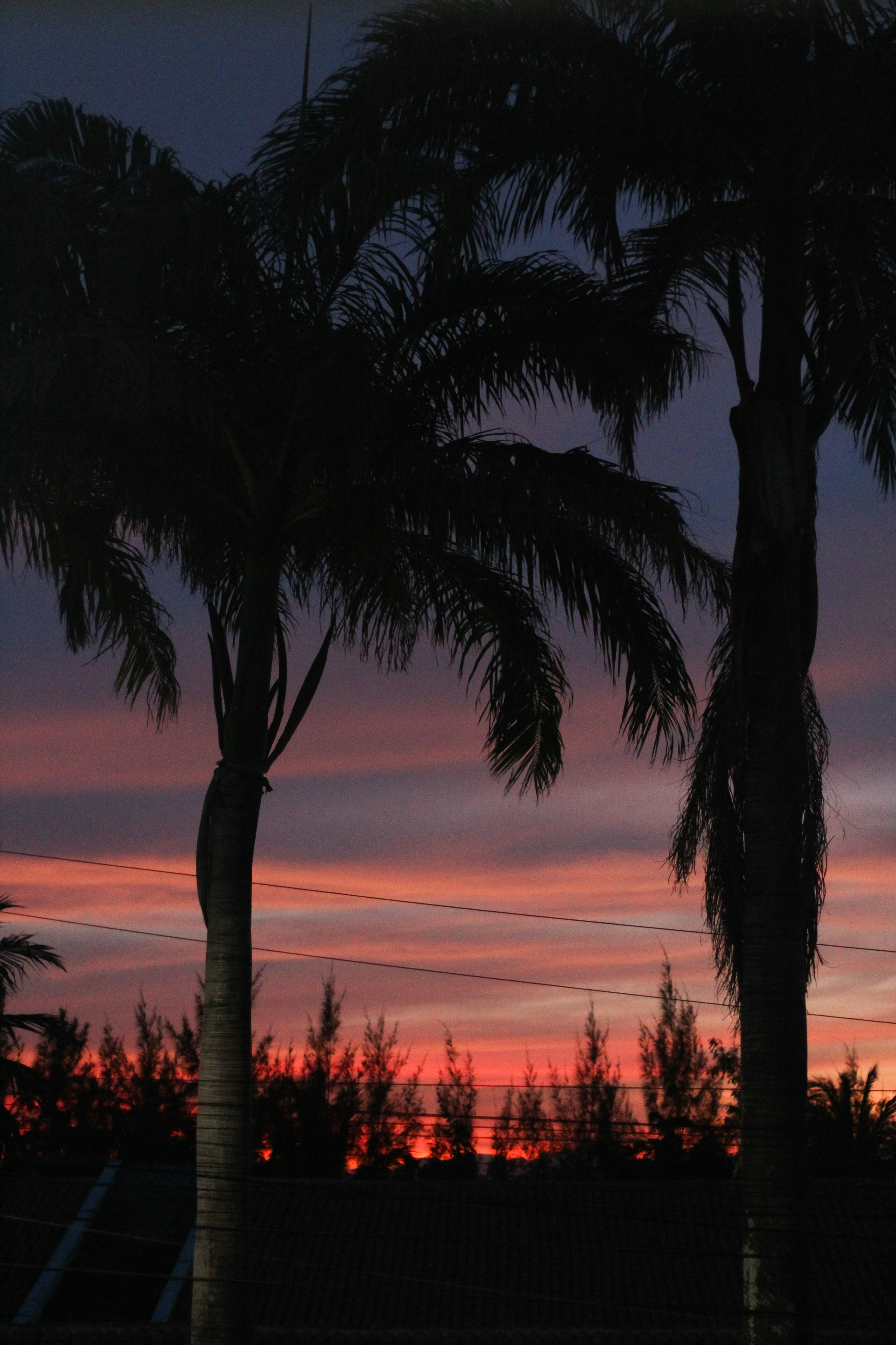 Photo by igorrodrigues