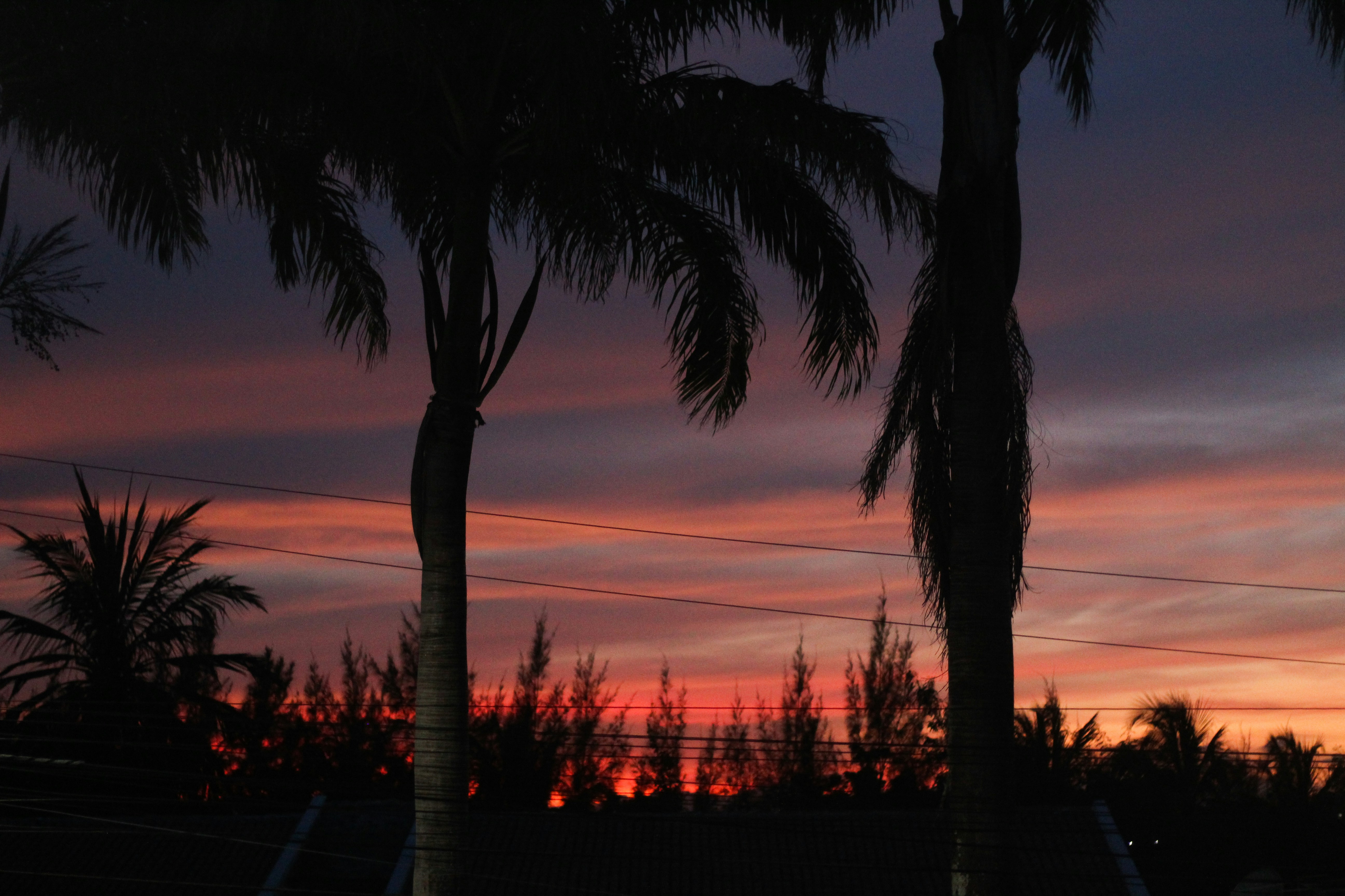 Photo by igorrodrigues