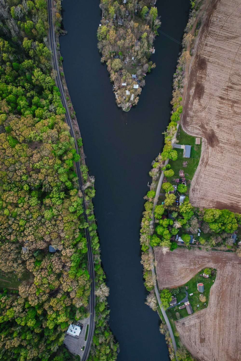 aerial view of river between trees