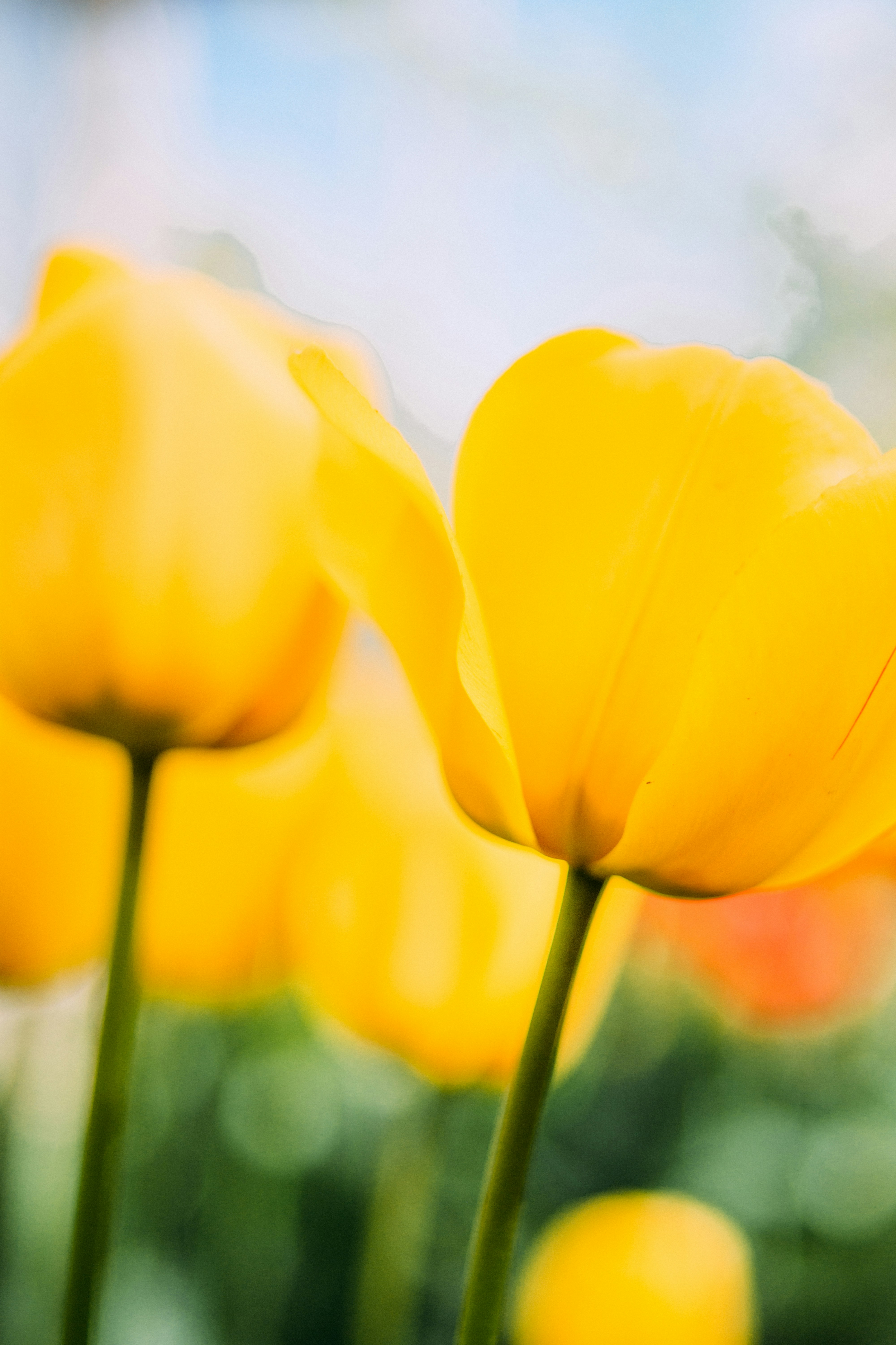 Photo by eugenivy_now