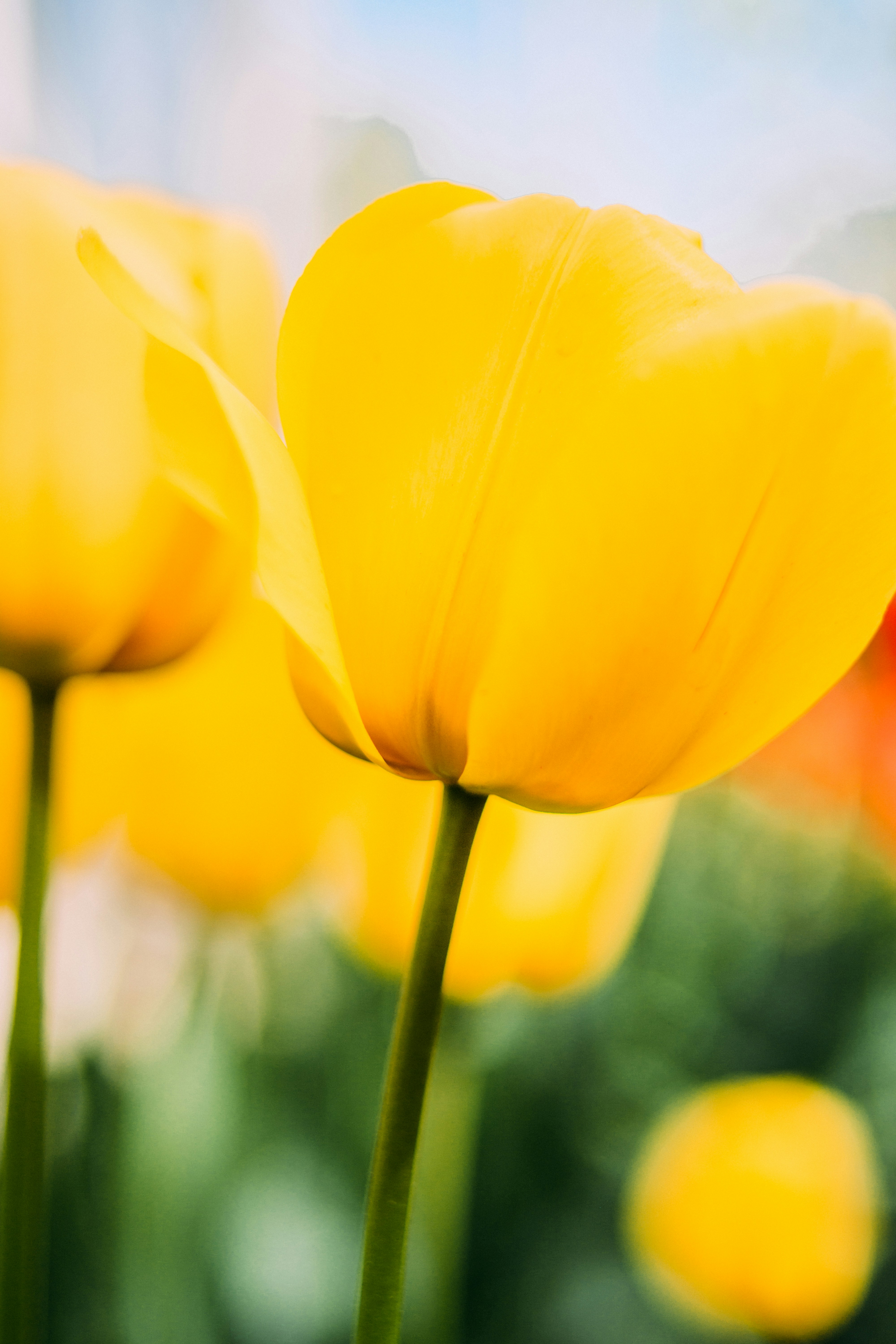 Photo by eugenivy_now