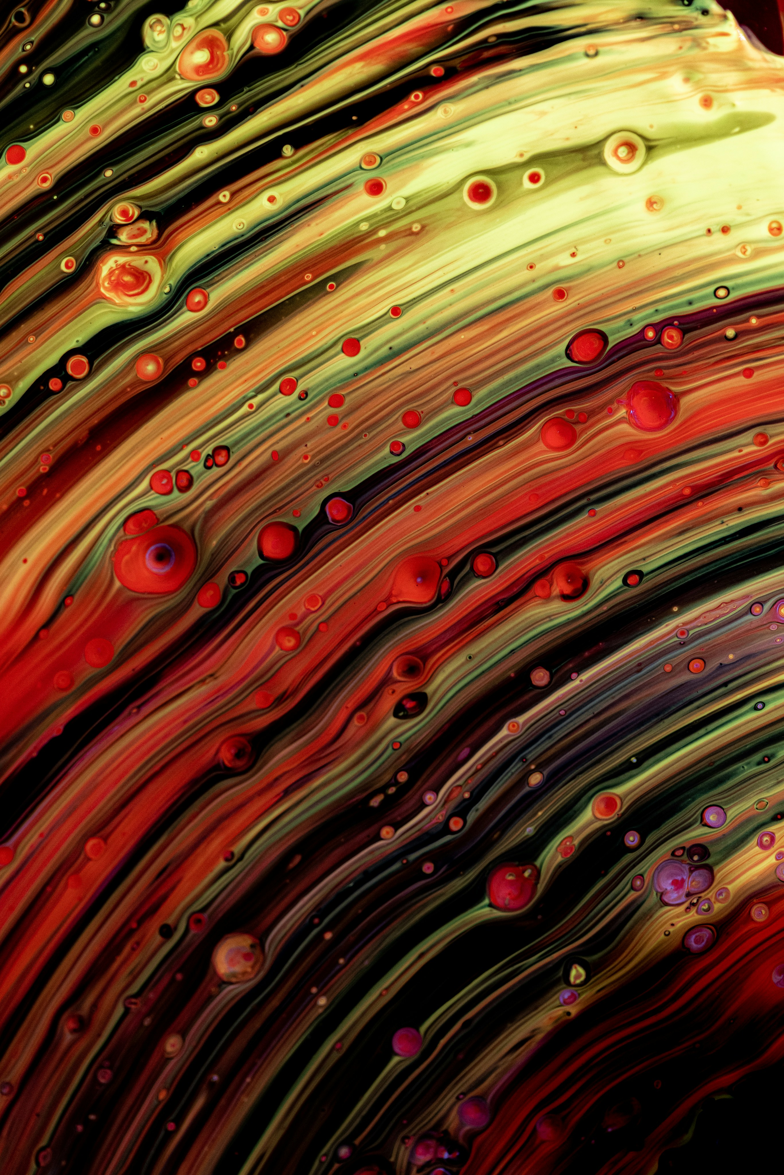 Photo by solenfeyissa