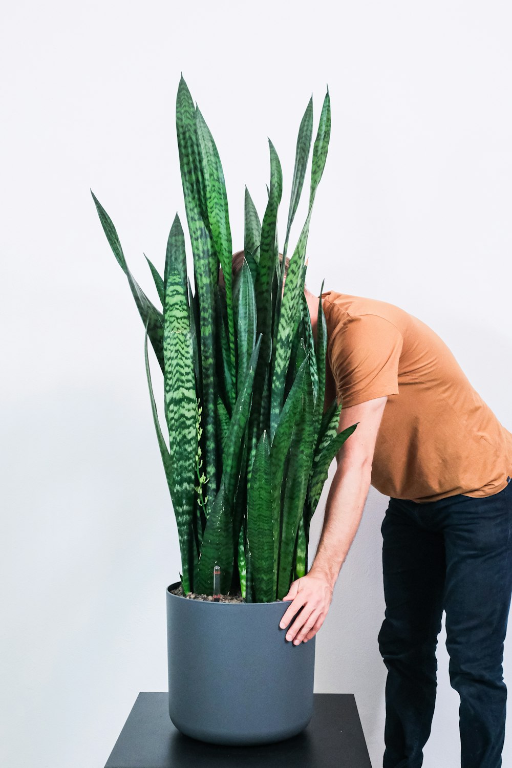 person in orange shirt holding green plant