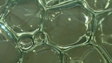A close-up view of transparent soap bubbles clustered together, creating an intricate network of hexagonal and irregular shapes. The bubbles reflect light, casting subtle rainbow colors and providing a sense of fragility and delicacy.