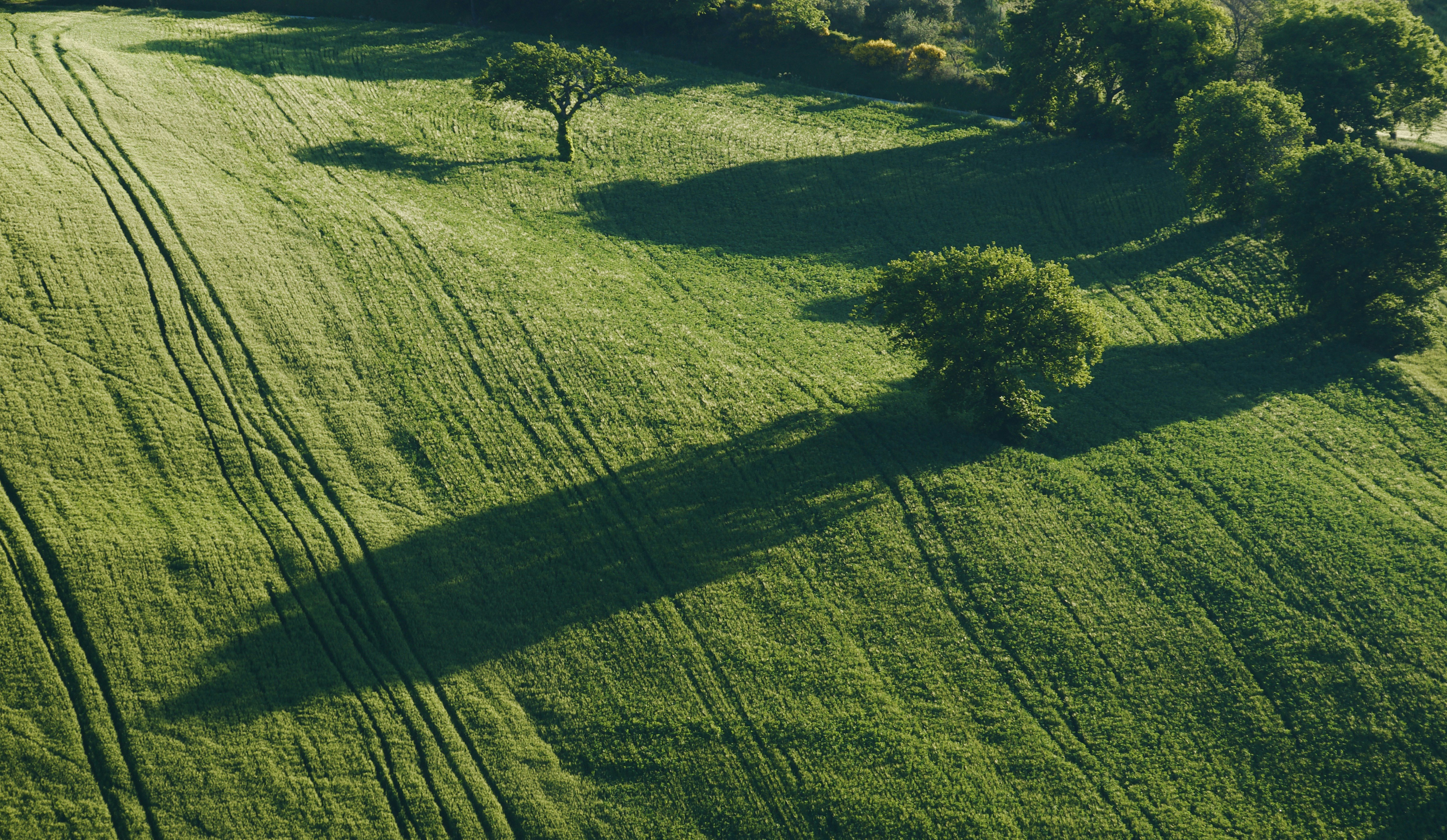 Photo by mariobeducci