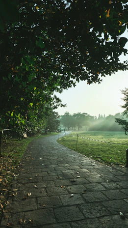 A serene urban park design featuring native plants and winding stone pathways under soft morning light.