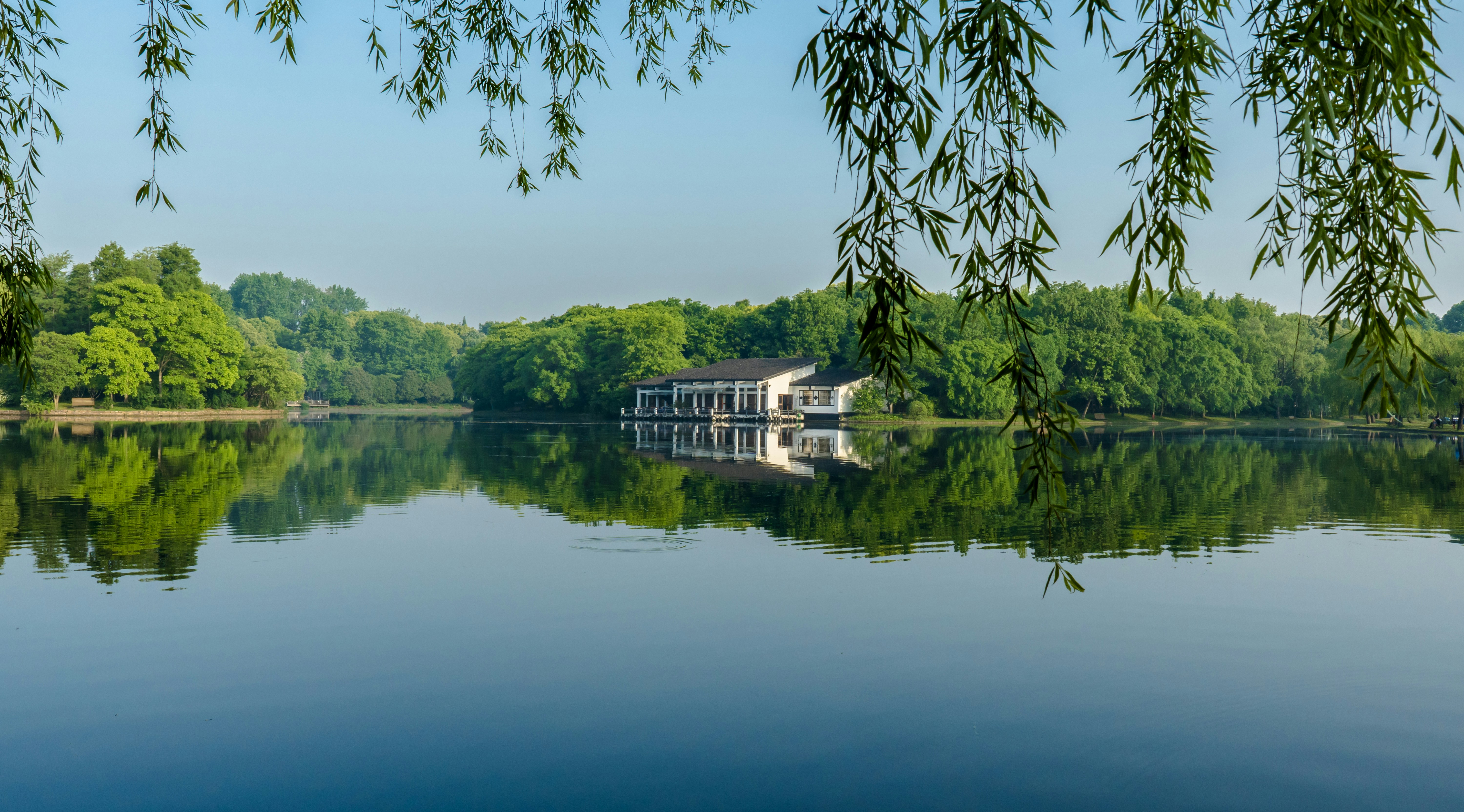 Photo by ryanchenzhikuan