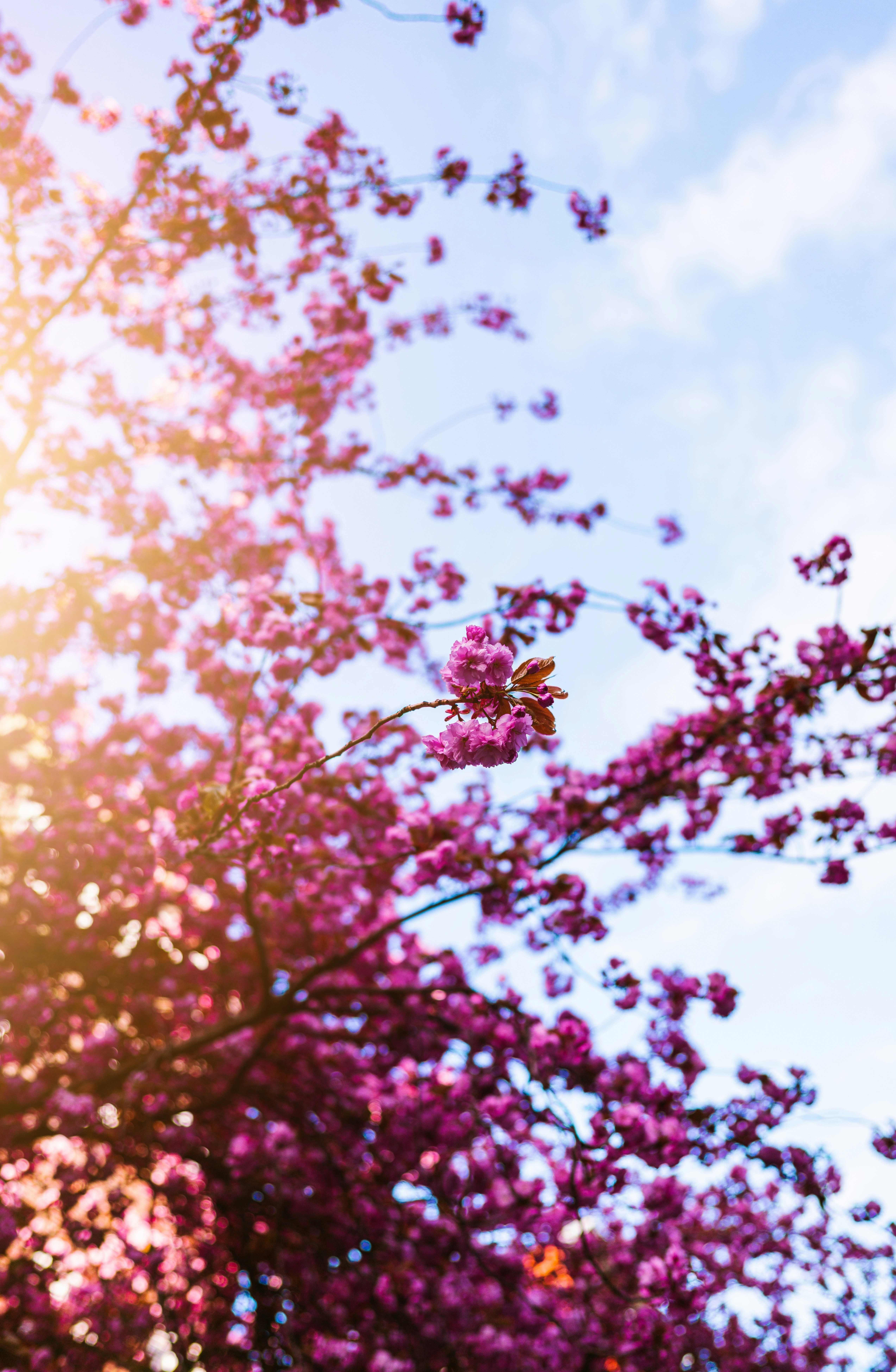 Photo by brunovdkraan