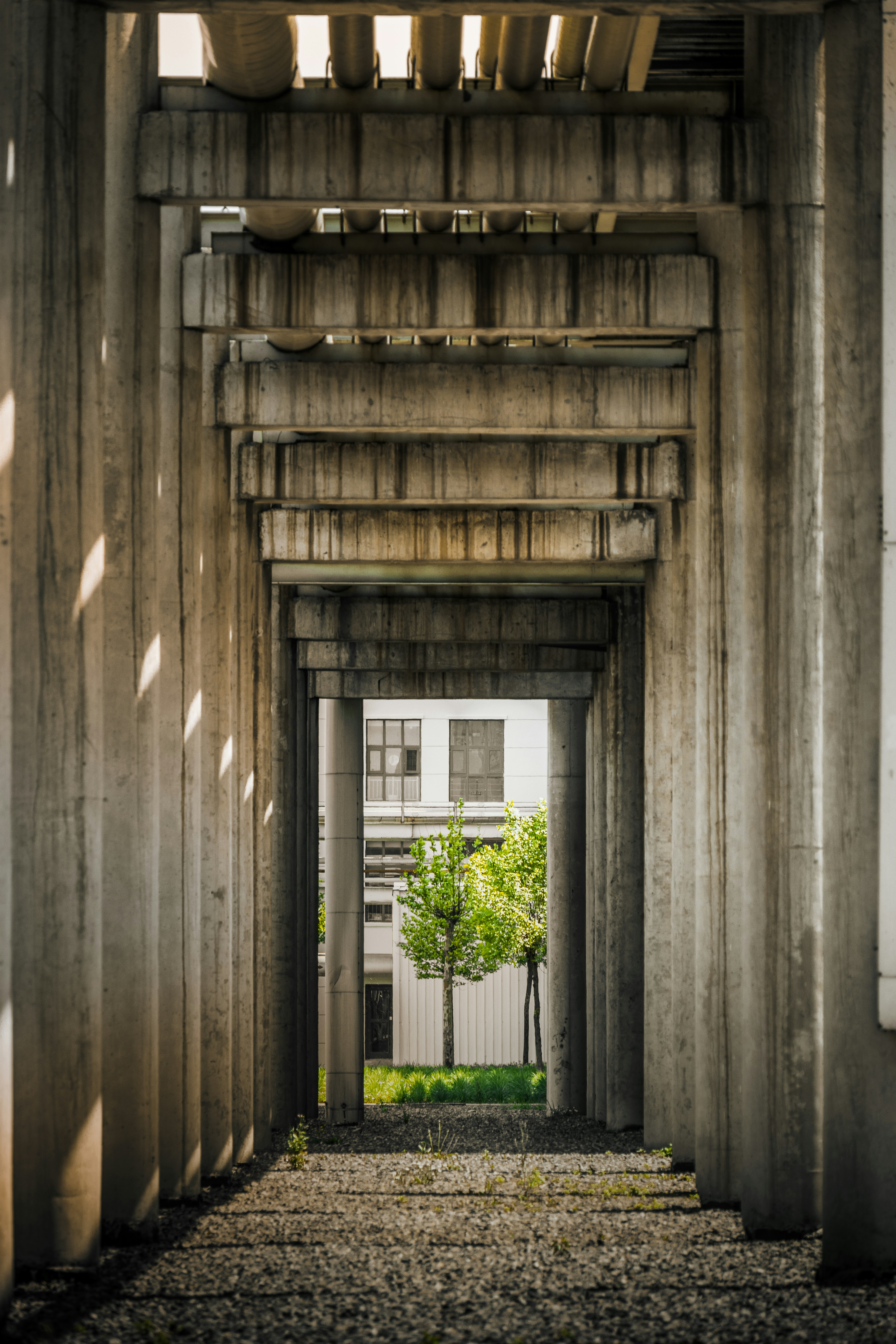 Photo by juliuscarmine