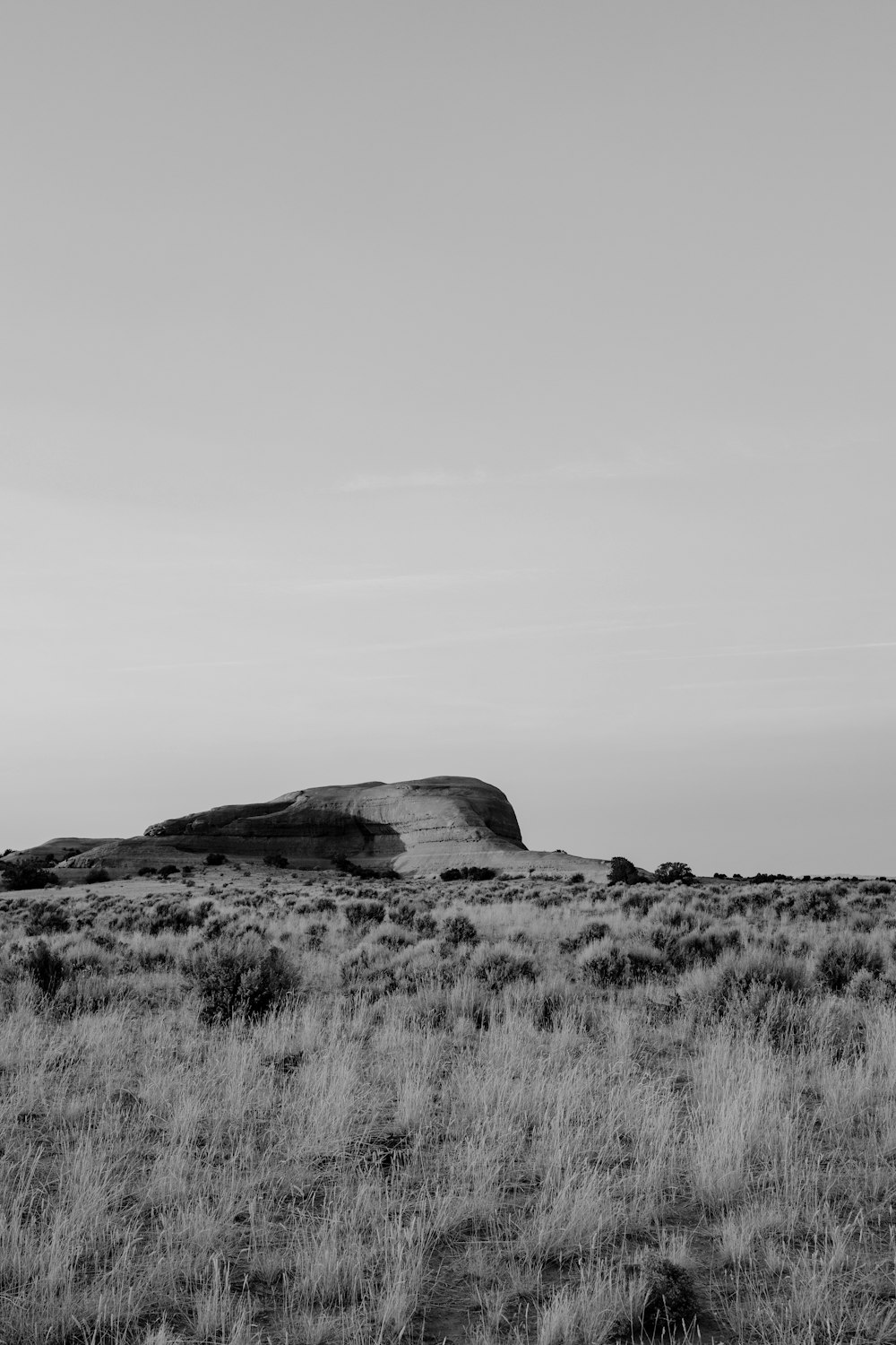 grayscale photo of grass field