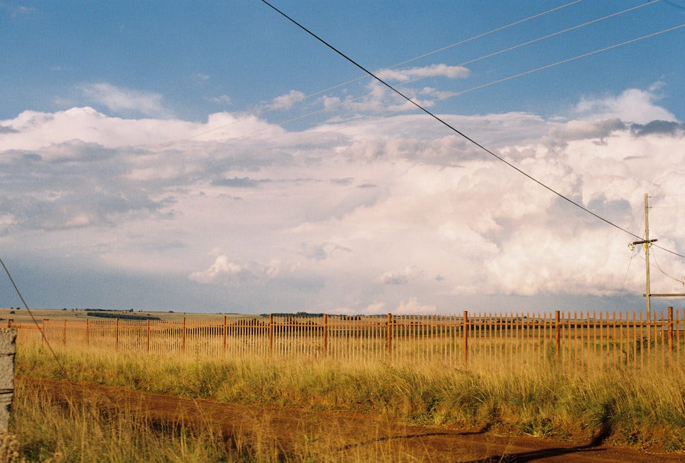 brown grass field under white clouds and blue sky during daytime