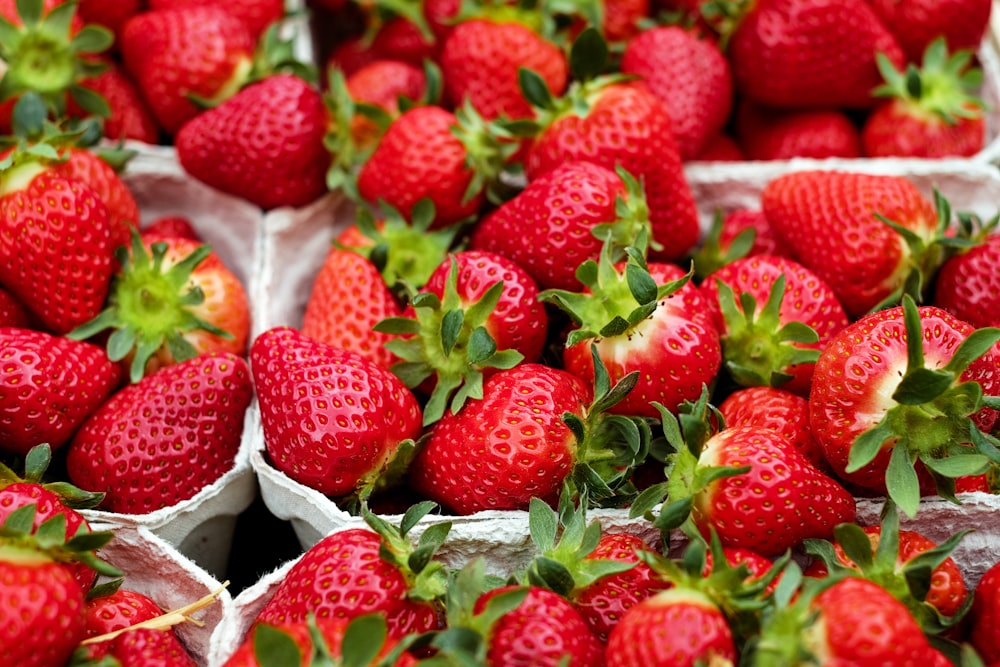 Fragole su contenitore di plastica bianca