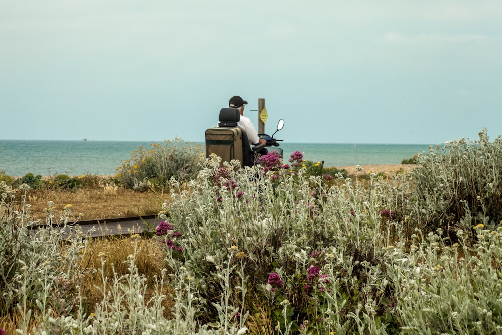 pink flowers near body of water during daytime