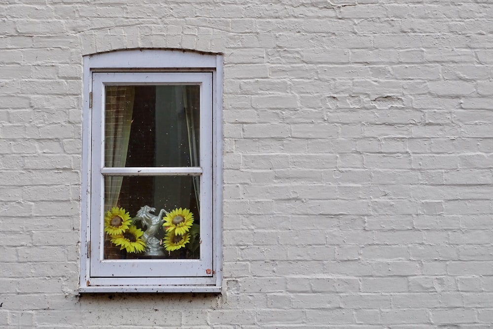 white wooden framed glass window