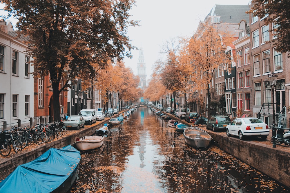 boats on river between trees during daytime