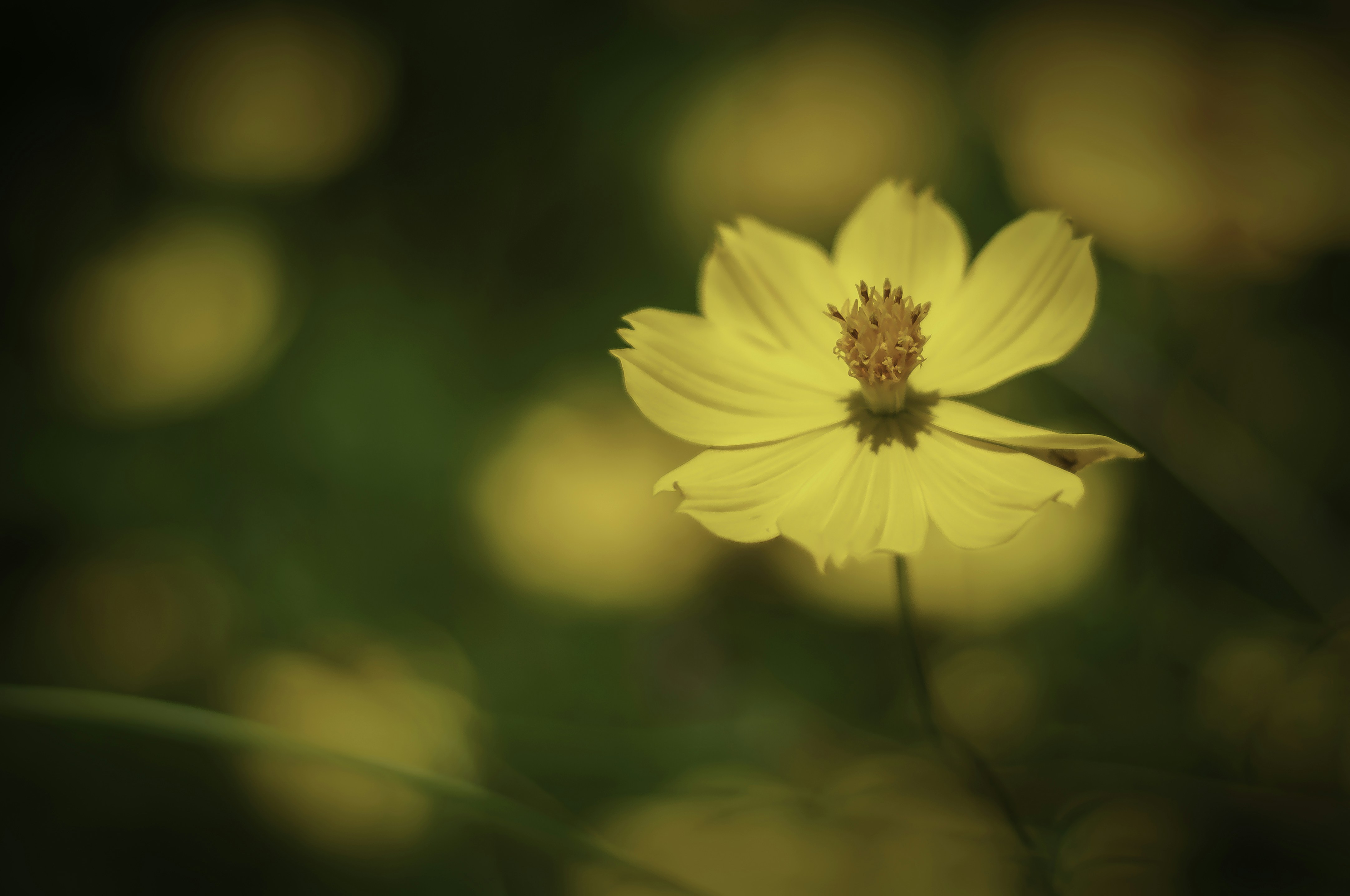 Photo by thom_oxford