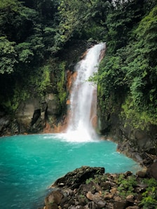 waterfalls in the middle of the forest during daytime