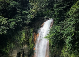 waterfalls in the middle of the forest during daytime