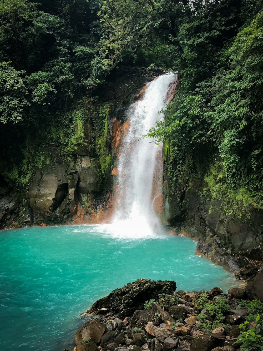 Cascadas en medio del bosque durante el día