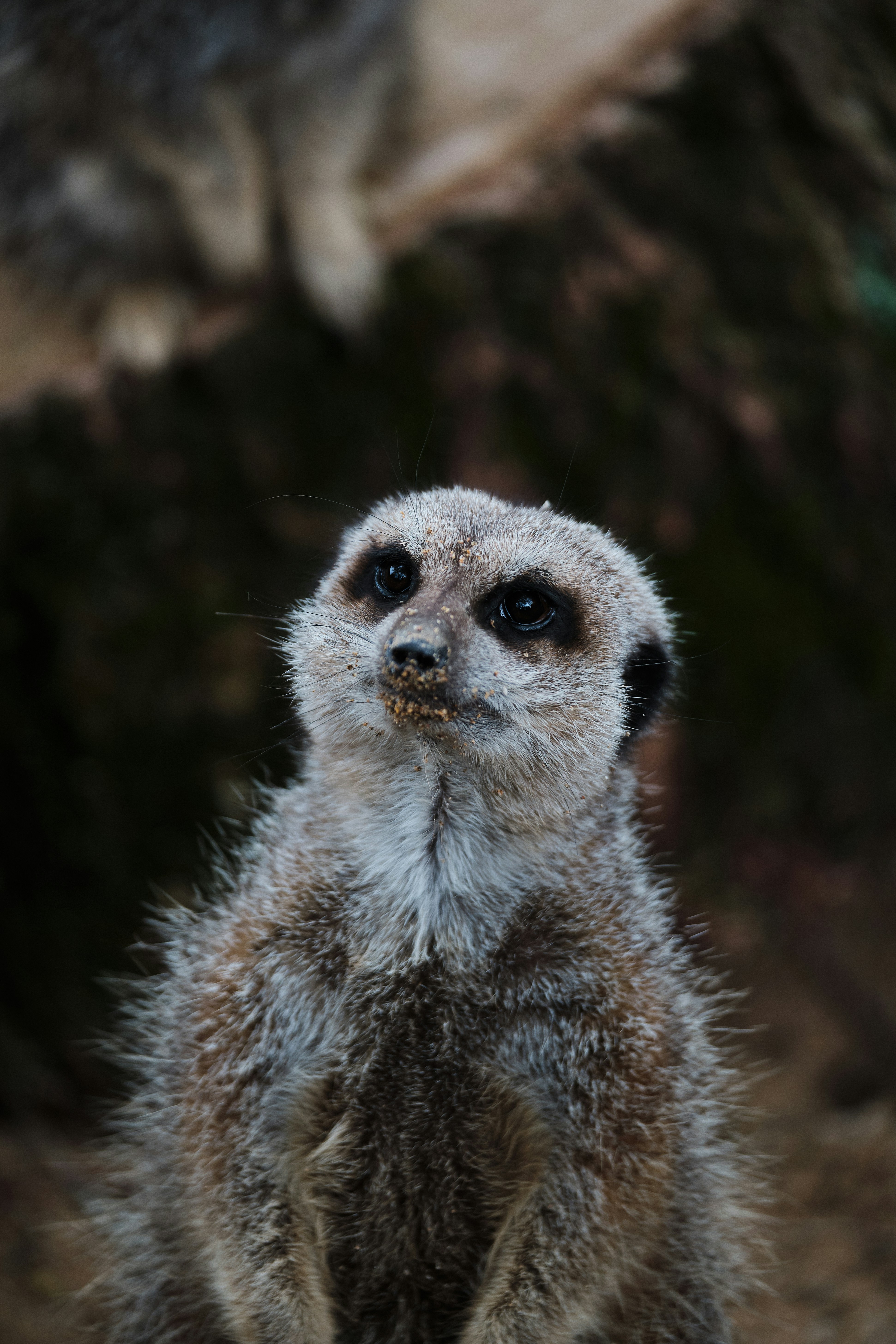 Photo by mentalmoorse