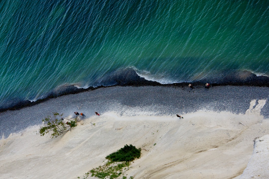 people on beach during daytime