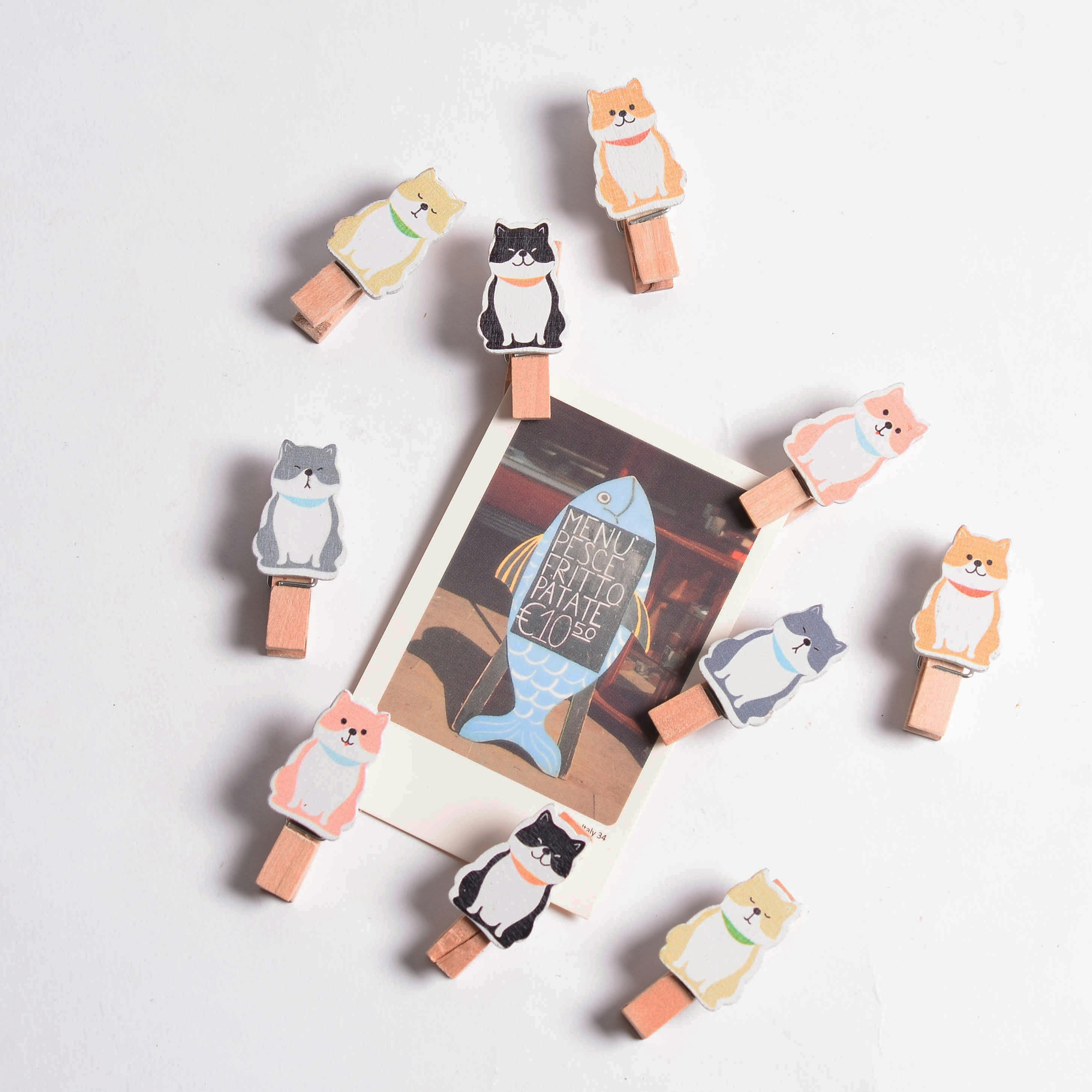 The Basics of Green Pest Control