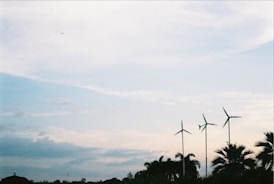 In the image, three wind turbines stand tall against a serene sky with light clouds. Palm trees and other vegetation are visible at the bottom, adding a natural touch to the industrial structures.