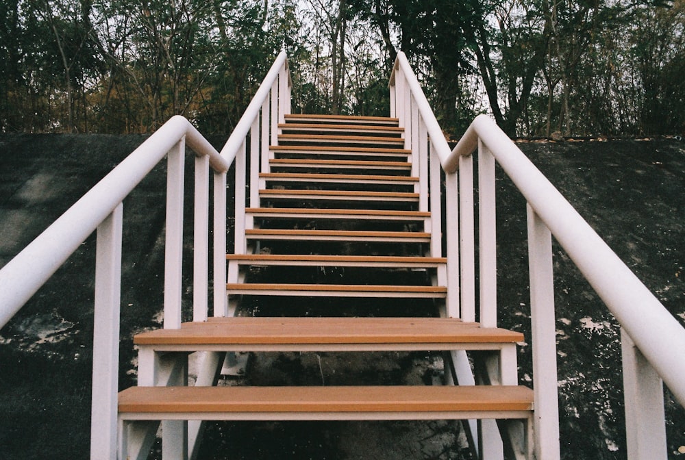 a set of wooden stairs leading up to a forest