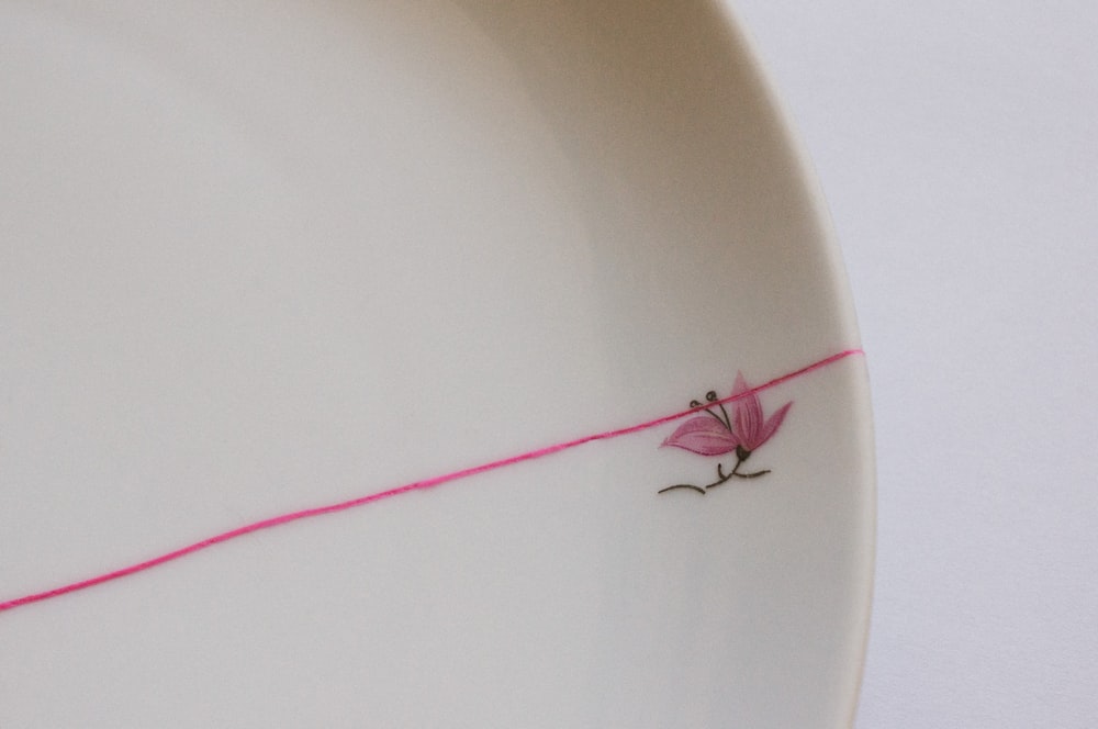 black and red insect on white ceramic plate