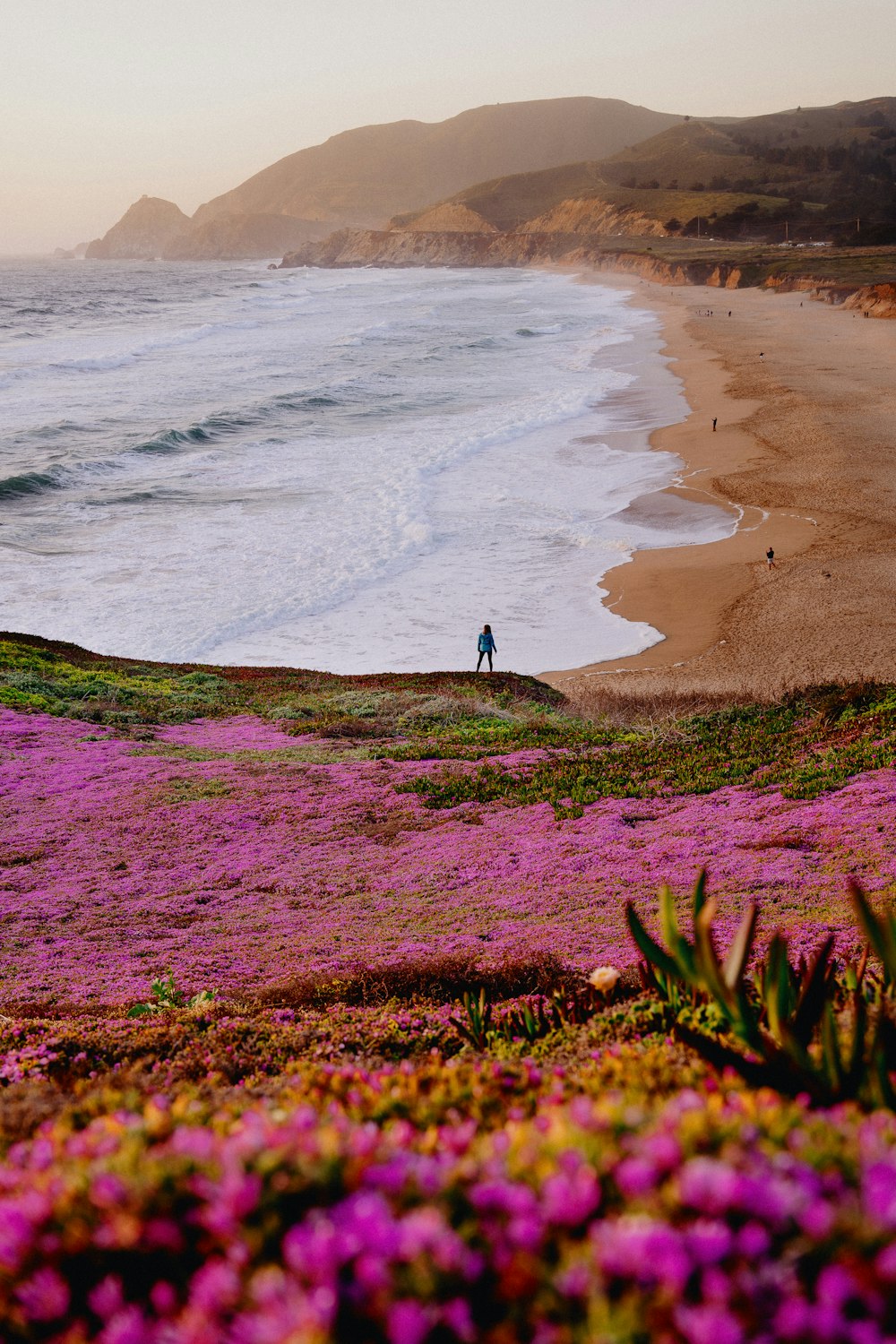 person in black jacket standing on green grass near body of water during daytime