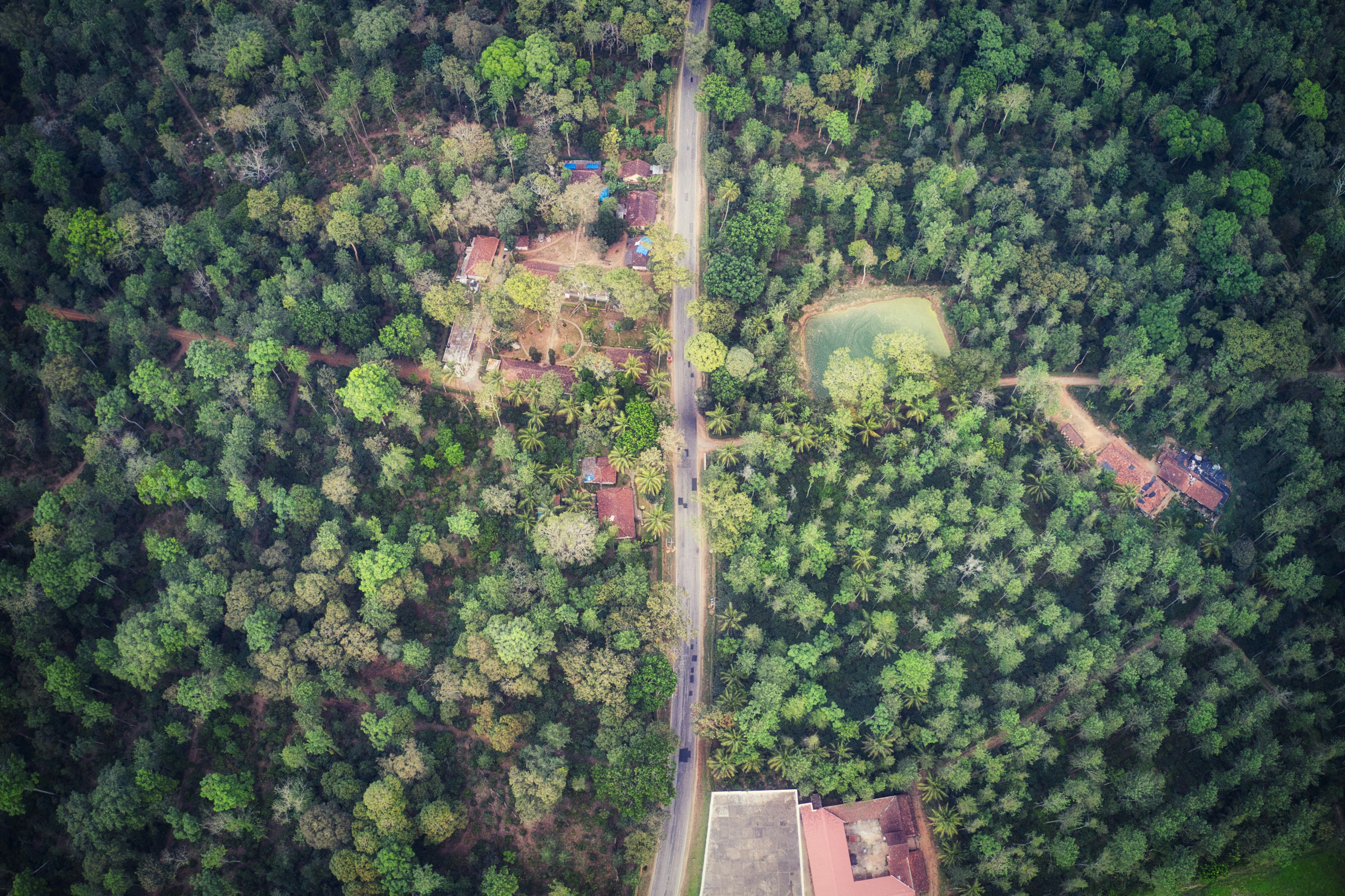 Photo by manofmysore1