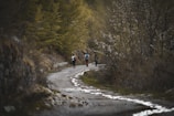 A group of people walking along a narrow path surrounded by lush green trees and bushes. The path appears to be a dirt or gravel trail, winding gently through a forested area. The scene suggests a calm and serene environment, with the individuals likely on a casual hike or nature walk.