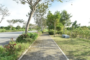 A peaceful walking path lined with lush trees and neatly trimmed grass.