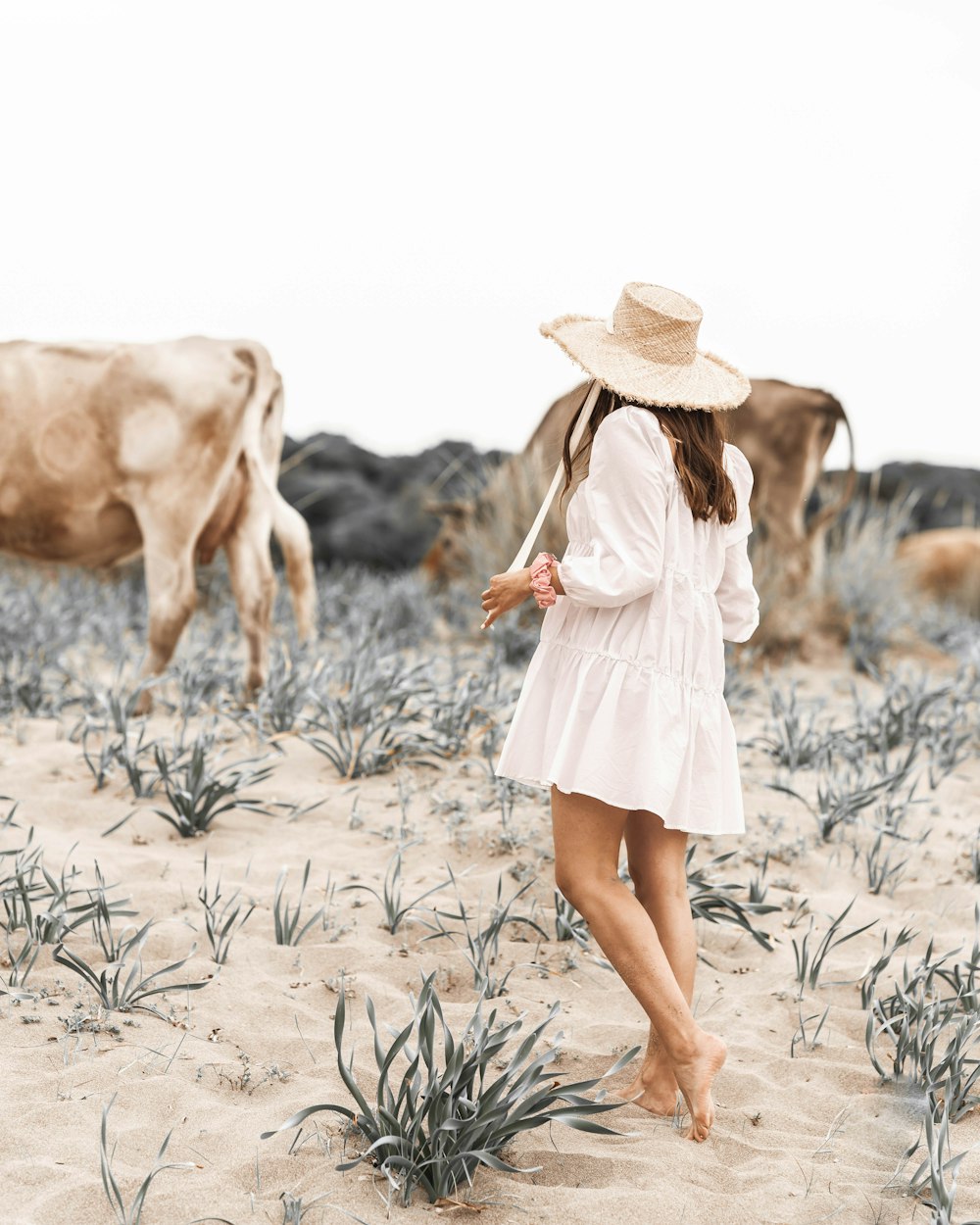 白いドレスと茶色の帽子をかぶった女性が昼間、茶色の砂の上を歩く